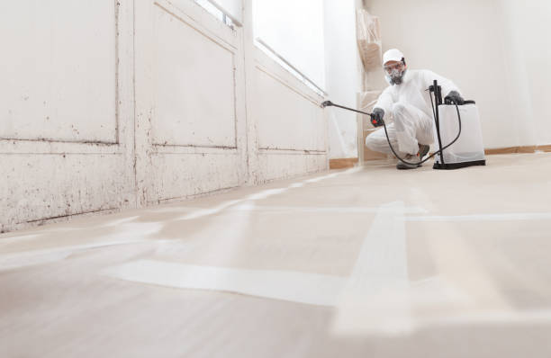 24/7 Emergency Bathroom Mold Removal experts in Towson, MD