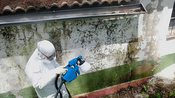Top rated local Bathroom Mold Removal specialists in Towson, MD
